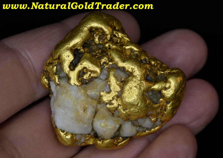 164.98 Gram Huge Alaskan Gold Nugget with Quartz